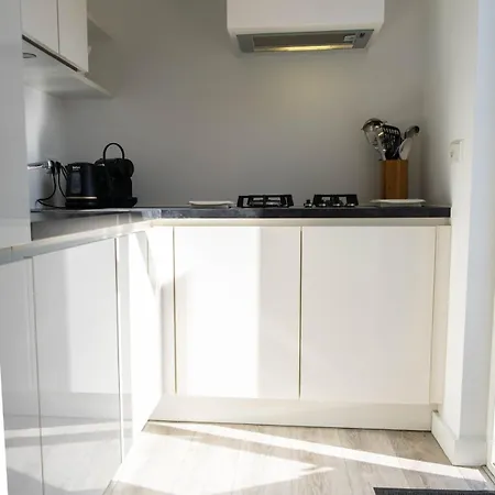 Zeemeeuw Egmond aan den Hoef