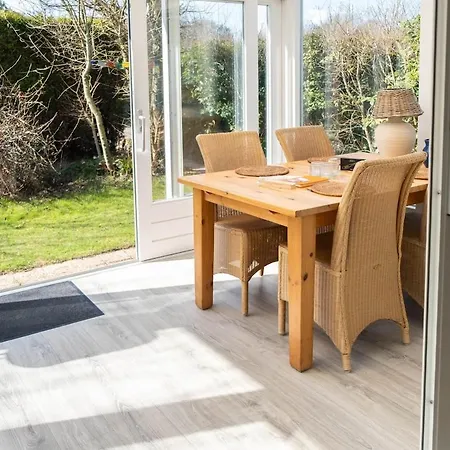 Zeemeeuw * Egmond aan den Hoef