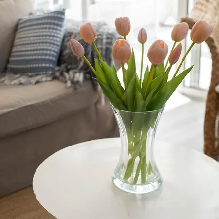 Casa de Férias Zeemeeuw