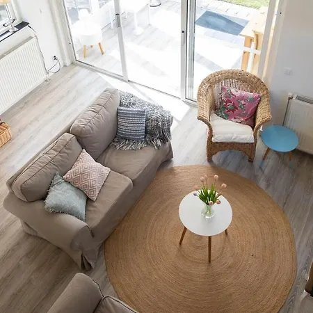 Zeemeeuw * Egmond aan den Hoef