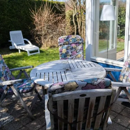 Zeemeeuw Egmond aan den Hoef