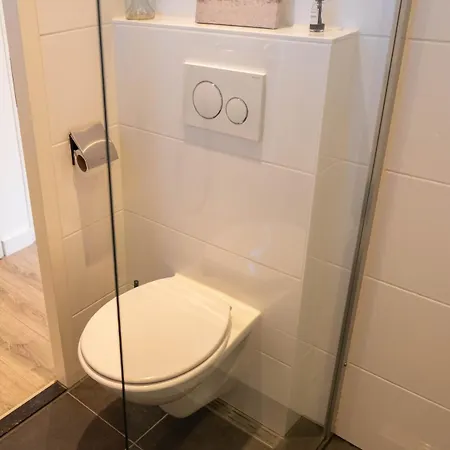 Zeemeeuw * Egmond aan den Hoef